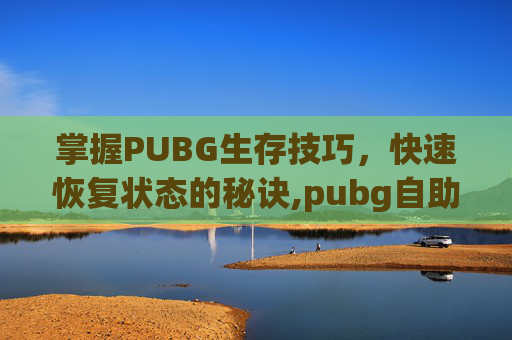 掌握PUBG生存技巧，快速恢复状态的秘诀,pubg自助恢复