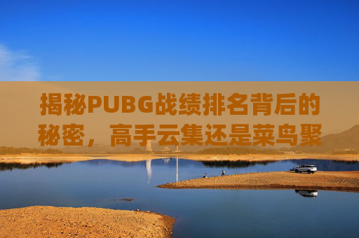 揭秘PUBG战绩排名背后的秘密，高手云集还是菜鸟聚集？,pubg排名积分