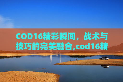 COD16精彩瞬间，战术与技巧的完美融合,cod16精彩集锦