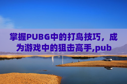 掌握PUBG中的打鸟技巧，成为游戏中的狙击高手,pubg打布娃娃