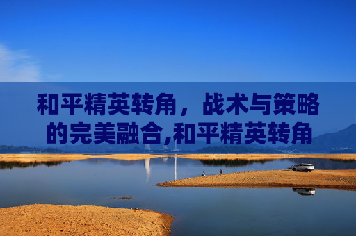和平精英转角，战术与策略的完美融合,和平精英转角色没有高于20分怎么办