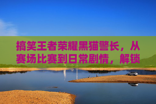 搞笑王者荣耀黑猫警长，从赛场比赛到日常剧情，解锁超多趣味玩法！,搞笑王者荣耀ID