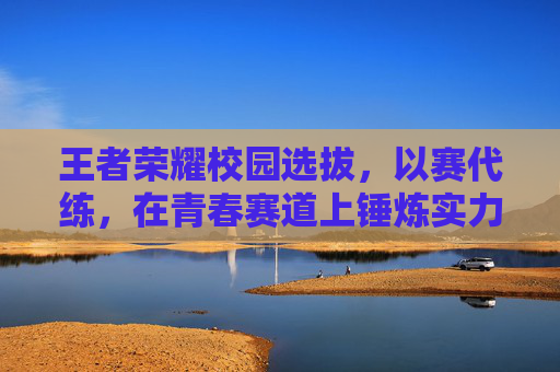 王者荣耀校园选拔，以赛代练，在青春赛道上锤炼实力与文化契合,王者荣耀校园选拔赛怎么进