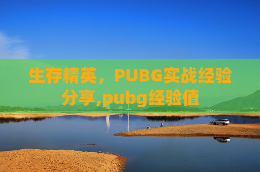 生存精英，PUBG实战经验分享,pubg经验值