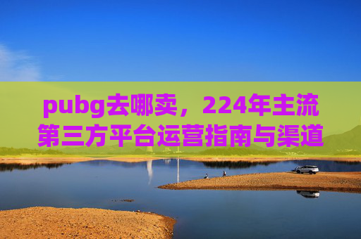 pubg去哪卖，224年主流第三方平台运营指南与渠道避坑,PUBG号在哪卖