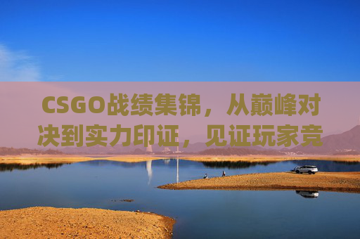 CSGO战绩集锦，从巅峰对决到实力印证，见证玩家竞技的每一次突破,csgo战绩在哪看