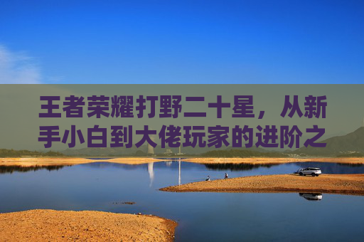 王者荣耀打野二十星，从新手小白到大佬玩家的进阶之路与技巧解析,王者荣耀打野二十星怎么打