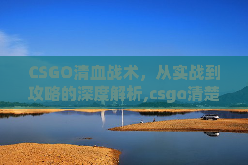CSGO清血战术，从实战到攻略的深度解析,csgo清楚血
